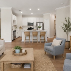 Open concept Living and Kitchen Space